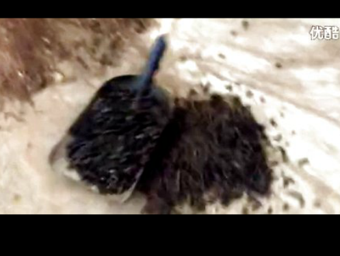 �����w��ԇ�Cҕ�l--�A���Cе